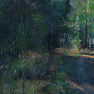 Eagle Marsh Back Road 4