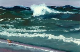 Superior Wave and Bird