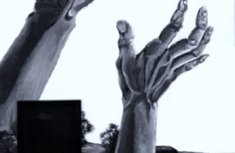 Freedom (A planting of His Splendor)