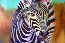 Zebra