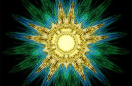 Hayman Space: First Light, New Star