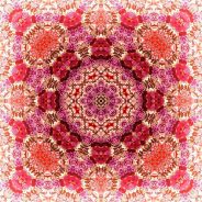 Trolley Tour 2012 No. 1