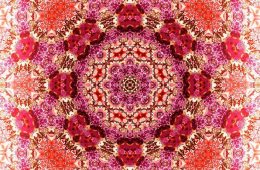 Trolley Tour 2012 No. 1