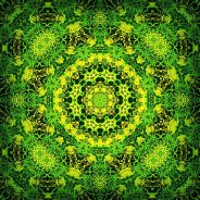 Trolley Tour 2012 No. 2