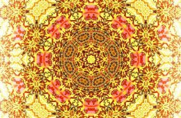 Trolley Tour 2012 No. 3