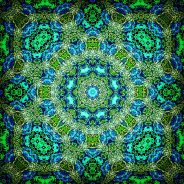 Trolley Tour 2012 No. 4