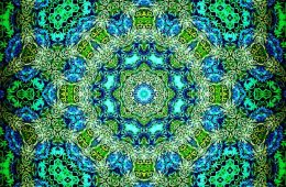 Trolley Tour 2012 No. 4