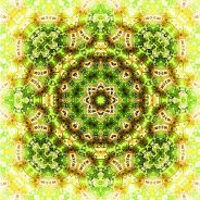 Trolley Tour 2012 No. 5