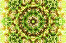 Trolley Tour 2012 No. 5