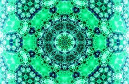 Trolley Tour 2012 No. 7