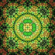 Trolley Tour 2012 No. 8