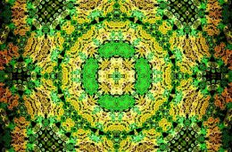 Trolley Tour 2012 No. 8