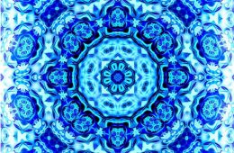 Trolley Tour 2012 No. 9